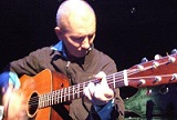 steve tallis
